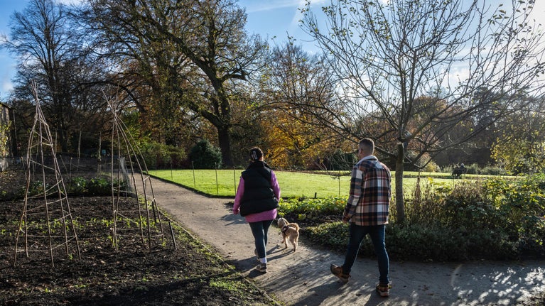 A sparse garden with two figures walking along a path with a dog on a lead